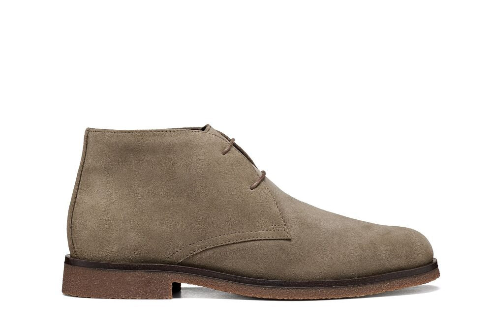 Geox Claudio Polacchina camoscio Beige/Marrone