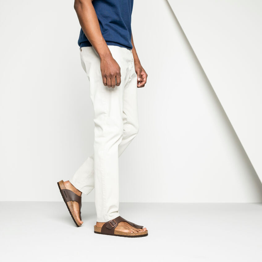 RAMSES MARRONE SCURO PIANTA NORMALE